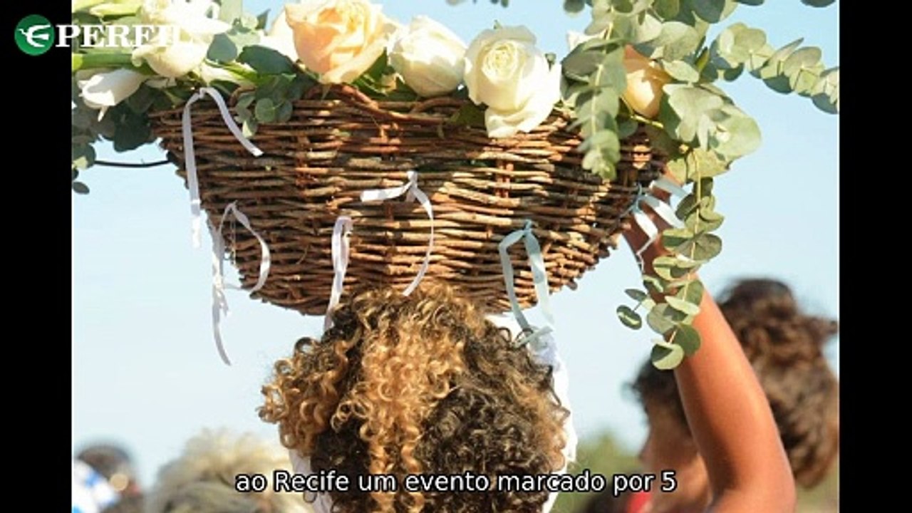 "Devoção, Uvas e Desafios: O Ano de 2025 e as T...