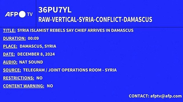 Syria rebels say chief arrives in Damascus - Golani