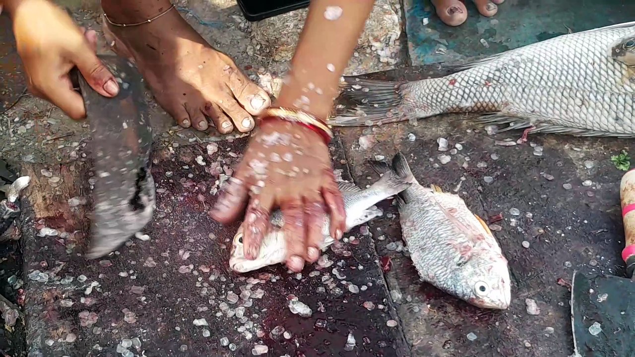 How to Cut a Tilapia Fish – Step-by-Step Guide