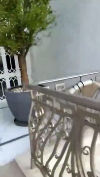 Sírios invadem Palácio Presidencial de Bashar al-Assad. As imagens