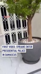 First video: Syrians enter presidential palace in Damascus