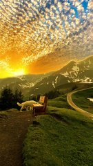 "Healing Through the Journey"