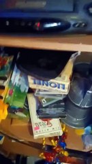 Opening To I Love Toy Trains 6