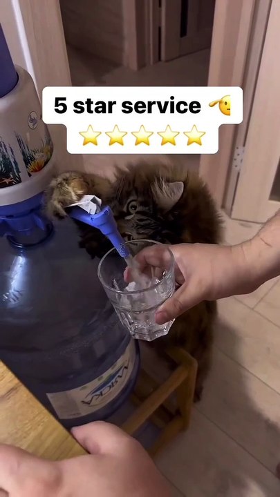 Best service ever
