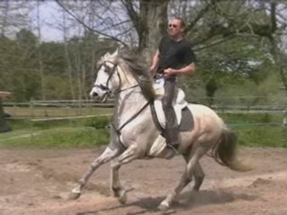 Mes galops ...