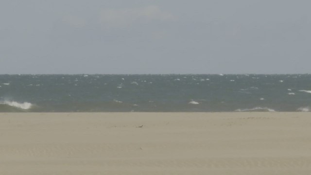 Emergencias decreta alerta por viento en la Comunitat Valenciana