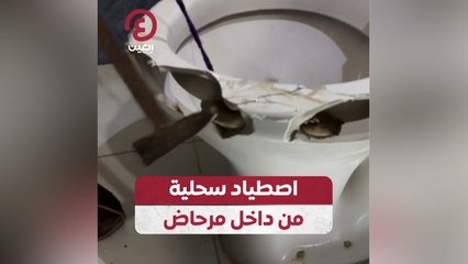 اصطياد سحلية من داخل مرحاض