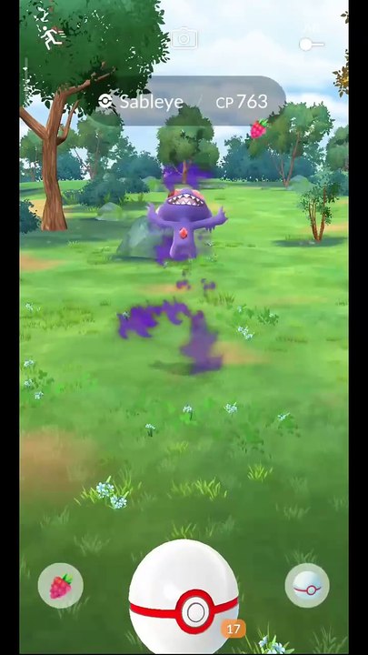 Pokémon GO-Shadow Sableye