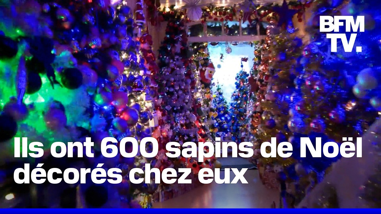 Ce couple d'Allemands décore sa maison avec 600 arbres de Noël et bat un record