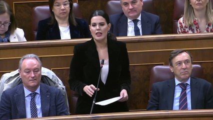 Marlaska defiende ante el PP que el registro de viajeros "nos beneficia a todos"