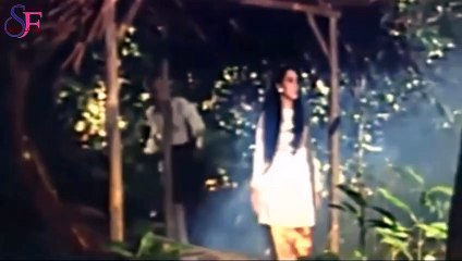 Mak Lampir II - Titisan Roh Nyai Kembang (1990)
