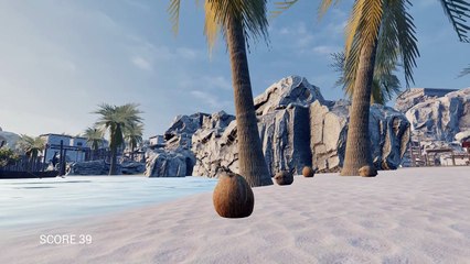 (Full Gameplay) Coconut Simulator [1080p] - No Commentary