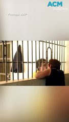 Decorated photographer reveals rare Bali Nine frames