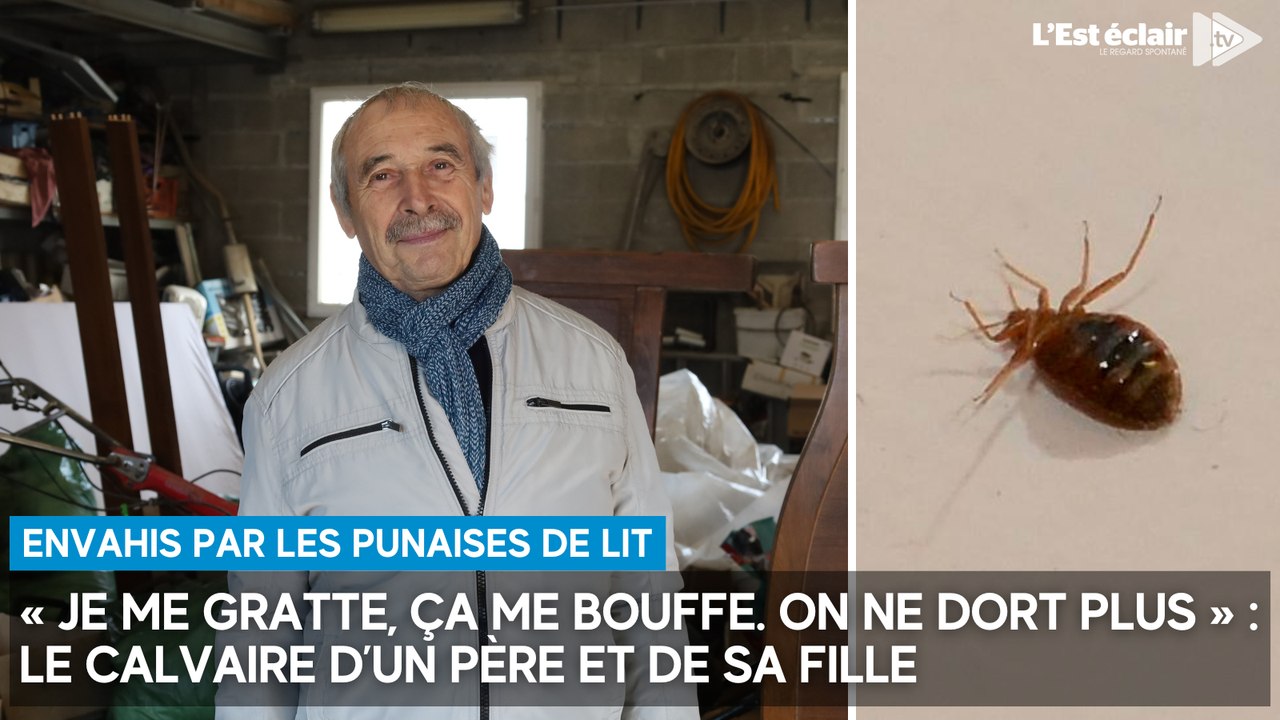 Le calvaire d’un père et de sa fille, envahis par les punaises de lit