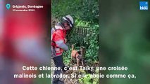 Une chienne détecte les fuites d'eau sur les canalisations de Dordogne