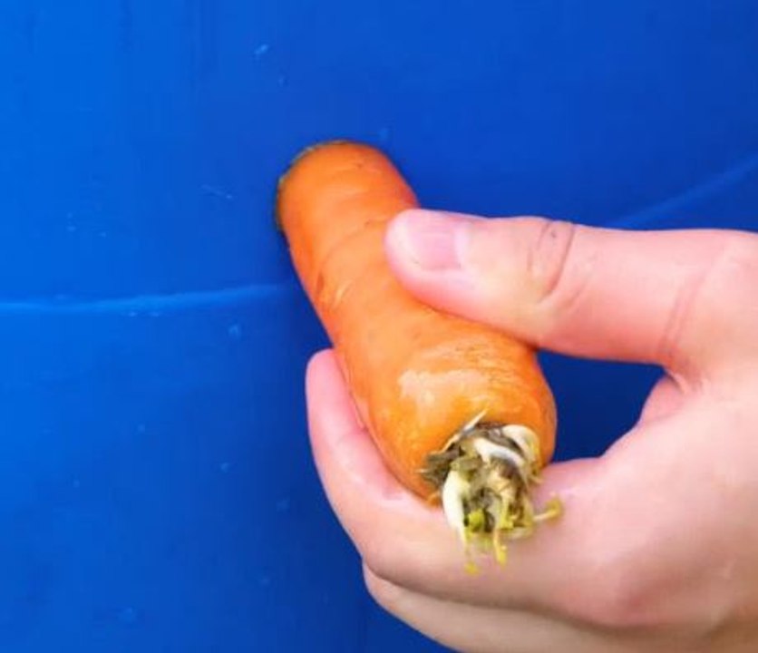 Easy DIY repair hacks for everyday problems!