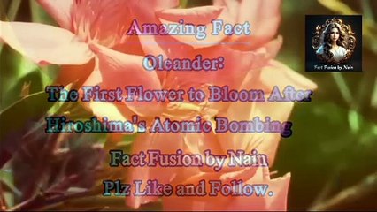 The Resilient Oleander: Hiroshima's Symbol of Hope.