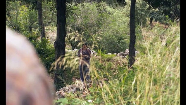 Los destellos - Tráiler