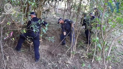 Pauline Sowry Press Conference | December 9, 2024 | Illawarra Mercury