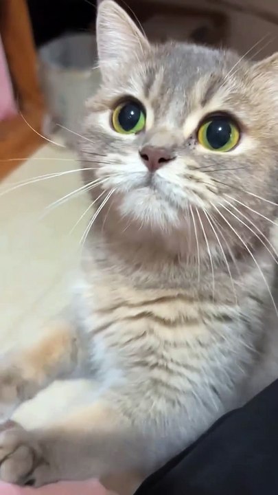 Give me a food