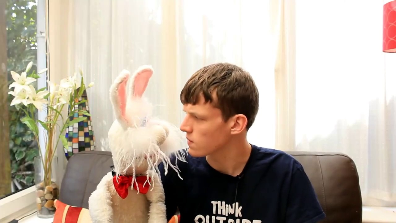 Living with a Rabbit