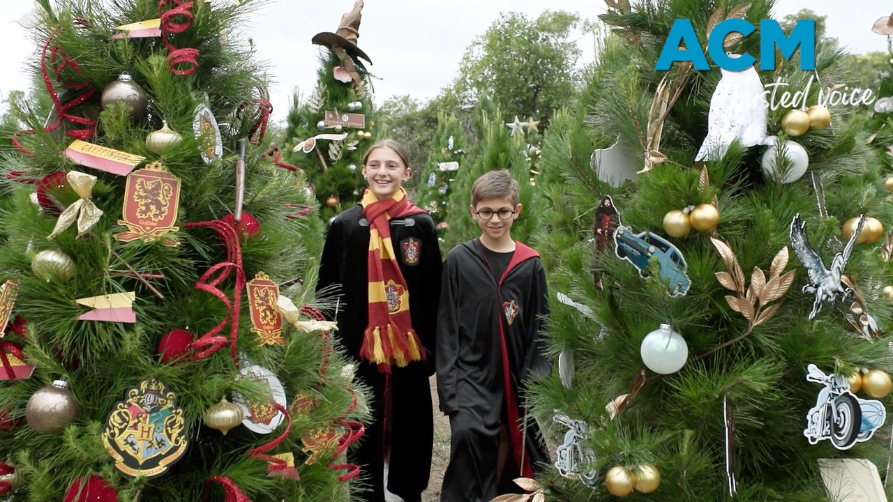 Magical Harry Potter Christmas tree farm in Dural, NSW