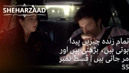 تمام زندہ چیزیں پیدا ہوتی ہیں، بڑھتی ہیں اور مر جاتی ہیں | Sheharzaad - قسط نمبر 55