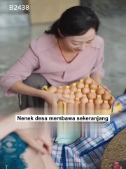 Kejutan Tak Terduga di Balik Perjalanan Nenek Desa