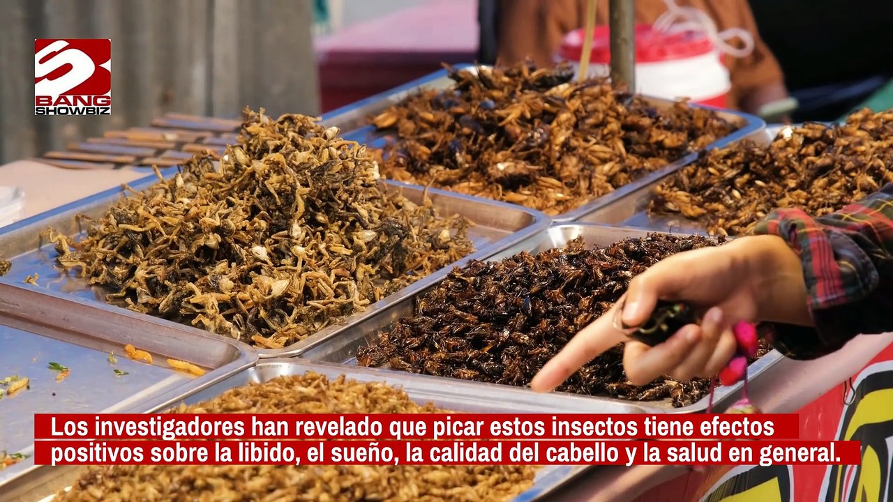 Comer saltamontes mejora el apetito sexual