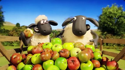 Sheep on Phone!🐑 Shaun the Sheep - Cartoons for Kids 🐑 Full Episodes Compilati