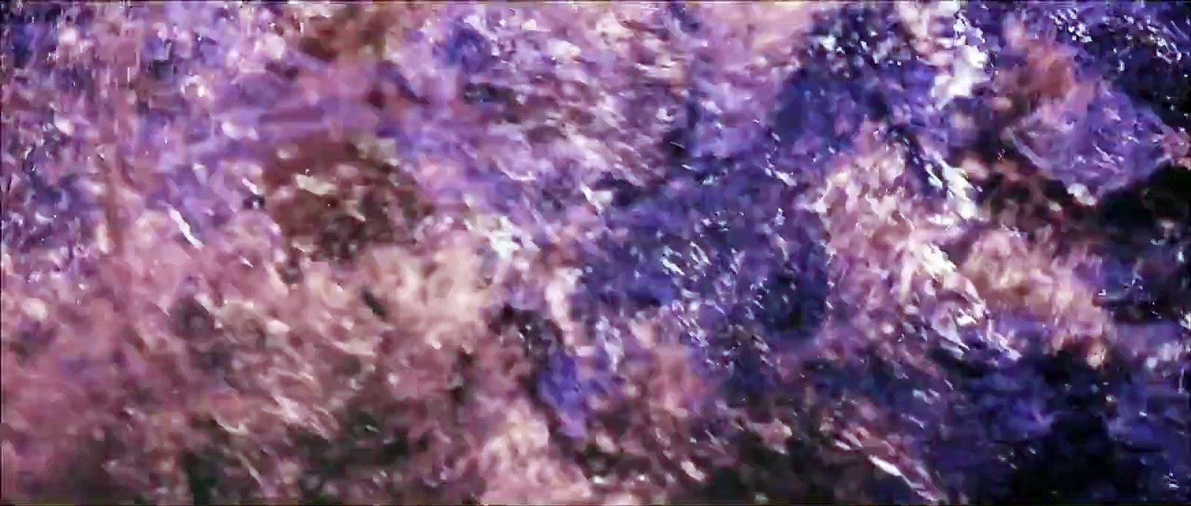 1000073331