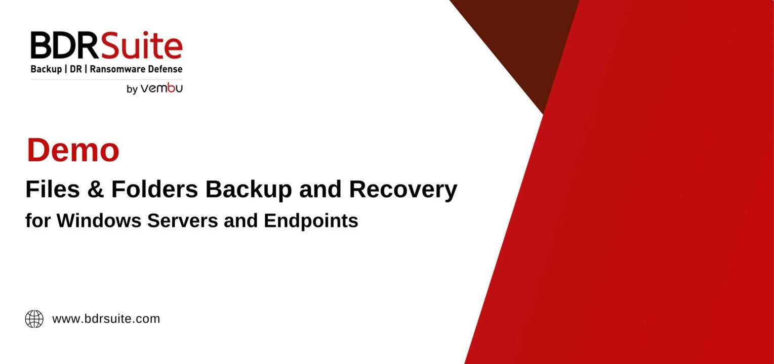 How to Backup and Restore Windows Files - Folders   BDRSuite Demo