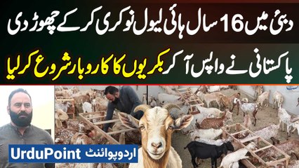 Dubai Me 16 Years High Level Job Karne Wale Pakistani Ne Job Chor Ke Pakistan Me Goat Farm Bana Liya