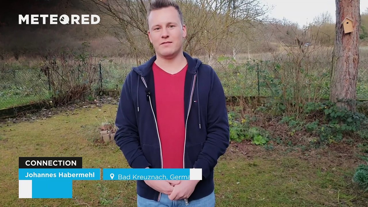 Kein Schnee in Sicht, erster Trend für Weihnachten ist da- grün oder weiß?