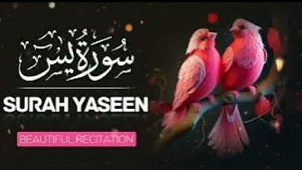 Surah Yaseen |Most beautiful surah in Quran Pak