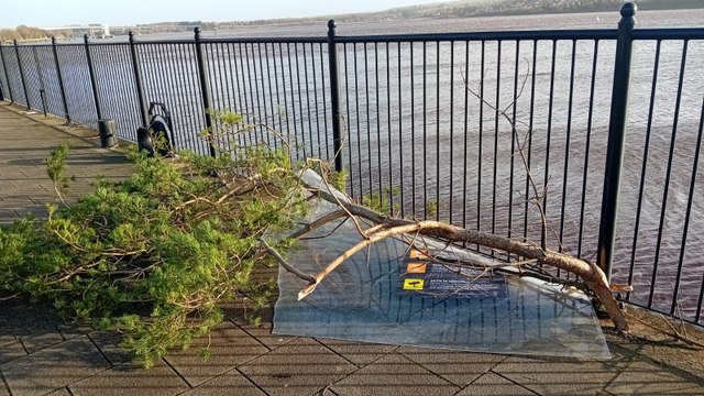 Storm Darragh: Trees felled, travel disrupted, buildings and structures damaged in Derry and Donegal