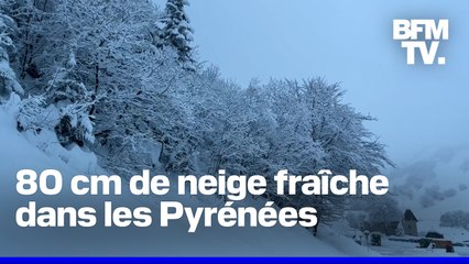 Les images des fortes chutes de neige dans les Pyrénées