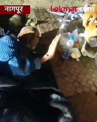 एका देवदूताच्या संवेदनशीलतेने कुटुंबाला पुन्हा जोडले