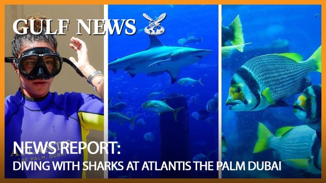Diving with sharks at Atlantis The Palm Dubai