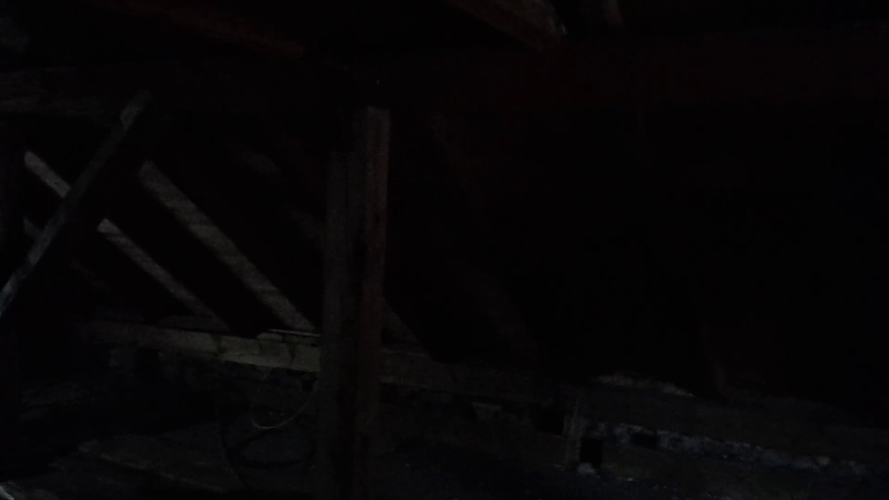 Letzter Hausrundgang Haus 09-15-2018