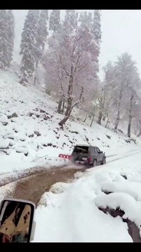 Snowy Escapes: Your Winter Adventure Starts Here!