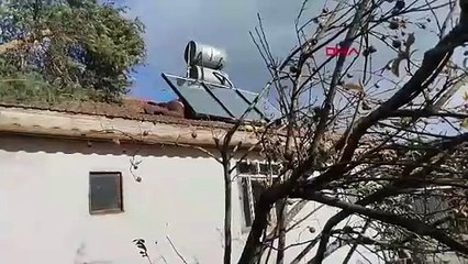 BOLU Devrilen ağacın dallarını keserken düşüp öldü (VİDEO EKLENDİ)