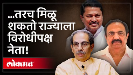 भाऊ, दादा अन् भाई मनाचा मोठेपणा दाखवणार का? राज्याला विरोधीपक्ष नेता मिळणार?