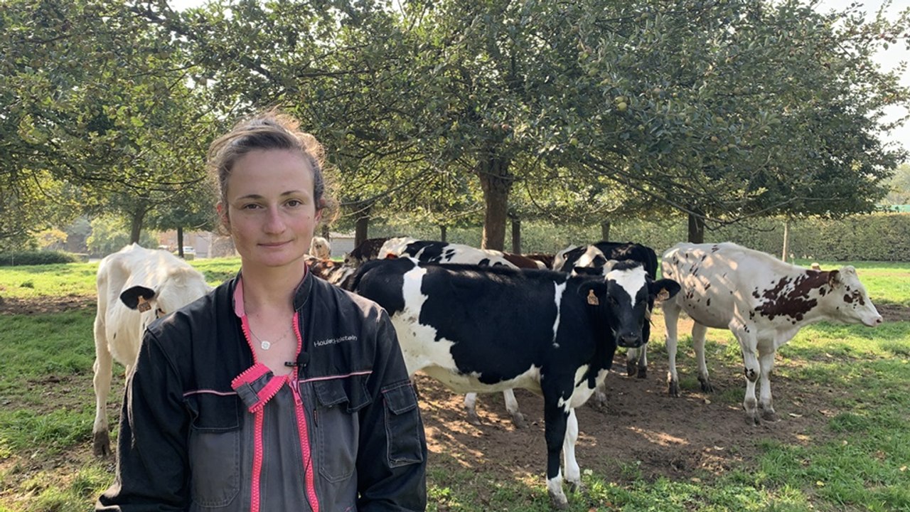 Marie Houlet, jeune éleveuse (Manche) : « S’installer seule, pas simple mais une vraie liberté »