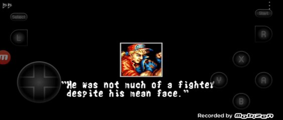 Fatal Fury Terry Bogard vs Richard Meyer luta completa