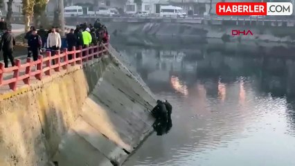 Tokat'ta tüyleri diken diken eden görüntü