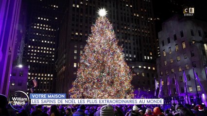 Votre maison : Les sapins de Noël les plus extraordinaires au monde