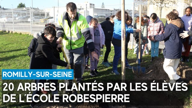 20 arbres plantés par les élèves de l’école Robespierre, à Romilly-sur-Seine