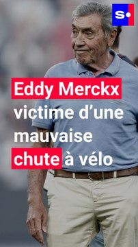Eddy Merckx victime d’une mauvaise chute à vélo : l’ancien champion cycliste va devoir être opéré