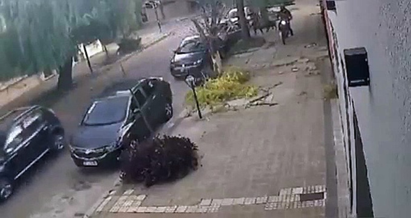 Dos perritos defendieron a su dueño del atraco de dos hombres a bordo de una moto 